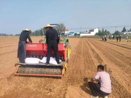 新型91麻豆精品国产自产在线观看一区種植機